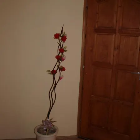 Gajo Kisduna Maganhaz Apartment Dunavarsany